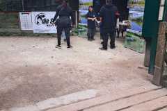 IMG-20260129-WA0022